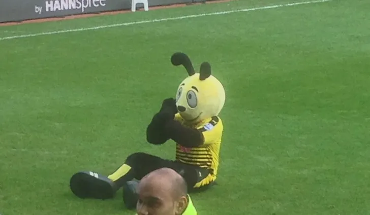 Linh vật Harry The Hornet của Watford FC với nụ cười thân thiện