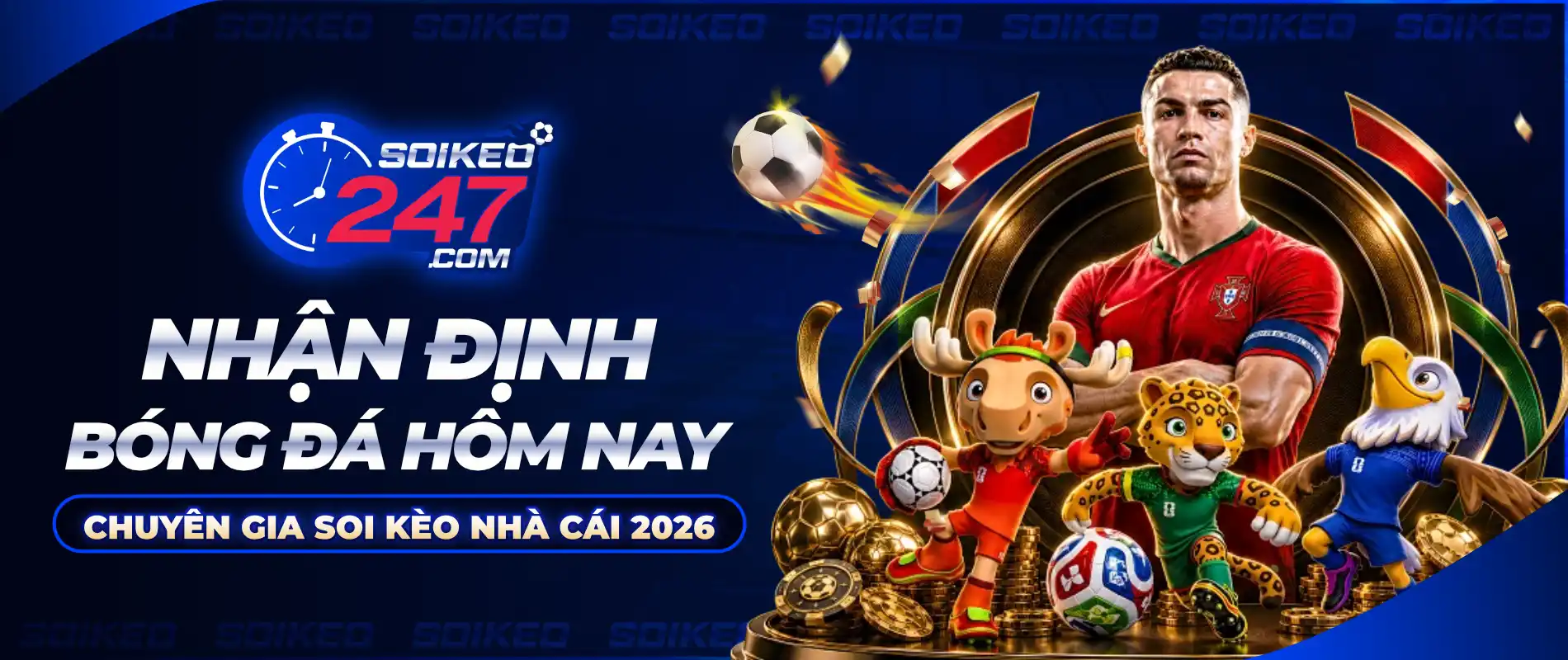 banner soi kèo
