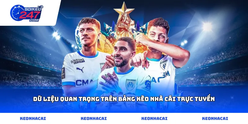 Dữ liệu quan trọng trên bảng KÈO NHÀ CÁI trực tuyến