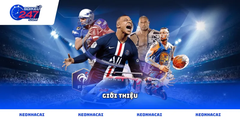 Khám phá không gian đặt cược thông qua phần Giới thiệu