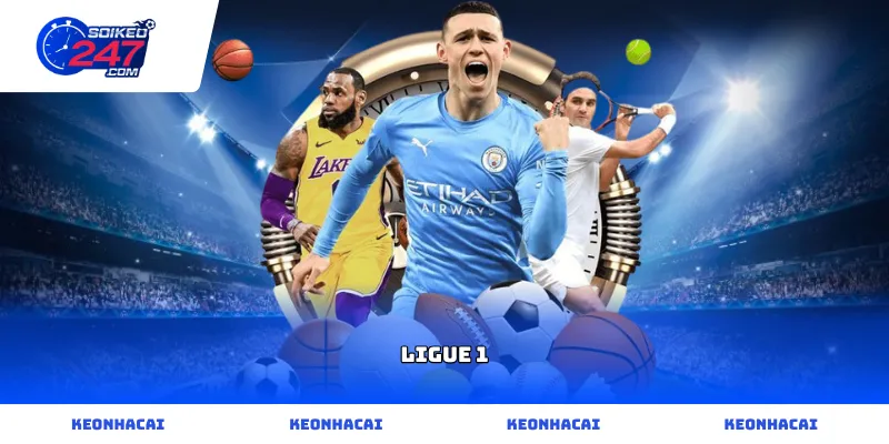 Theo dõi sát sao các chỉ số chuyên môn của giải đấu Ligue 1