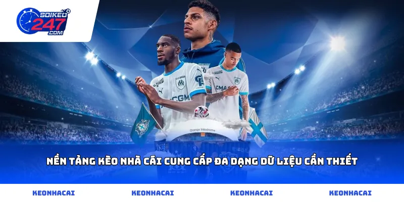 Nền tảng KÈO NHÀ CÁI cung cấp đa dạng dữ liệu cần thiết