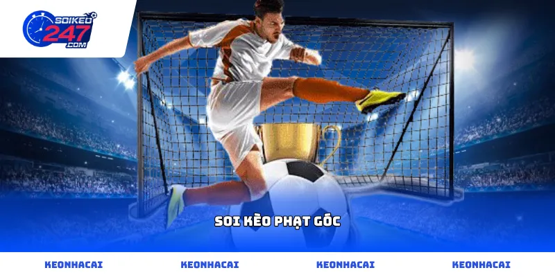Cách thức nhận diện thông số soi kèo phạt góc chuẩn xác